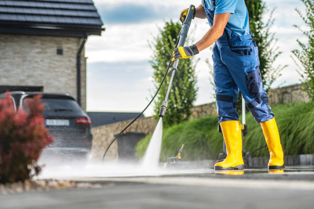 Best Animal Enclosure Cleaning  in Redington Shores, FL